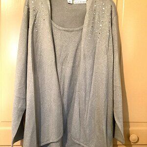 Sag Harbor Dressy Light Gray Sparkly Sweater Twin Set Size 3X